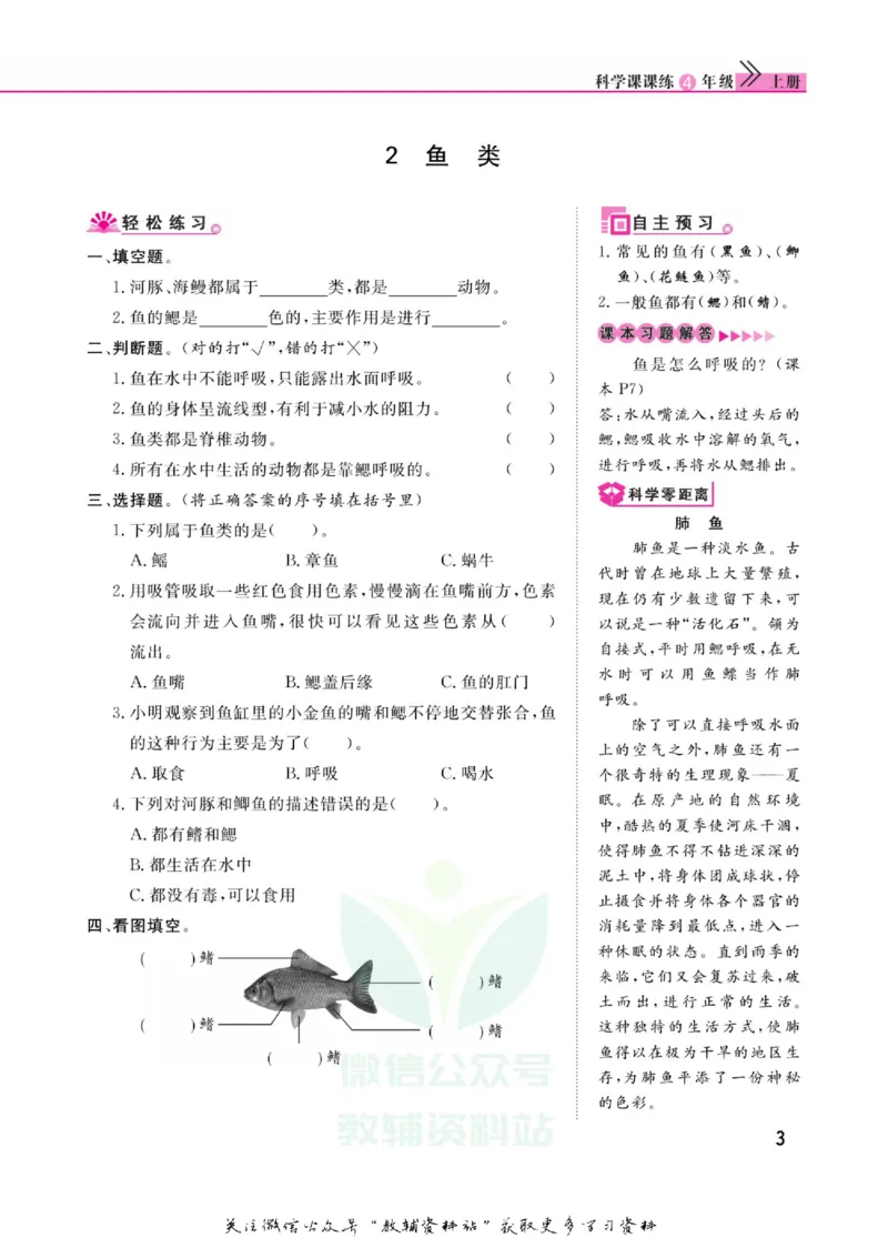 快乐小博士四年级上册科学苏教版_2024年人教版小学数学一二三四五六年级上册下册期中期末试a0747_小学全科《同步练习+精品试卷》打包下载（1-6年级单元月考期中期末试卷）_小学科学