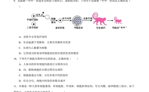 生物（全国卷）（考试版A4）_2025年初中《中考第一次模拟》全国各地区模拟卷（8科全）(1)_2025年《中考第一次模拟卷》初中生物_全国通用&radic;