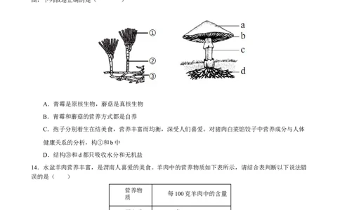 生物（全国卷）（考试版A4）_2025年初中《中考第一次模拟》全国各地区模拟卷（8科全）(1)_2025年《中考第一次模拟卷》初中生物_全国通用&radic;