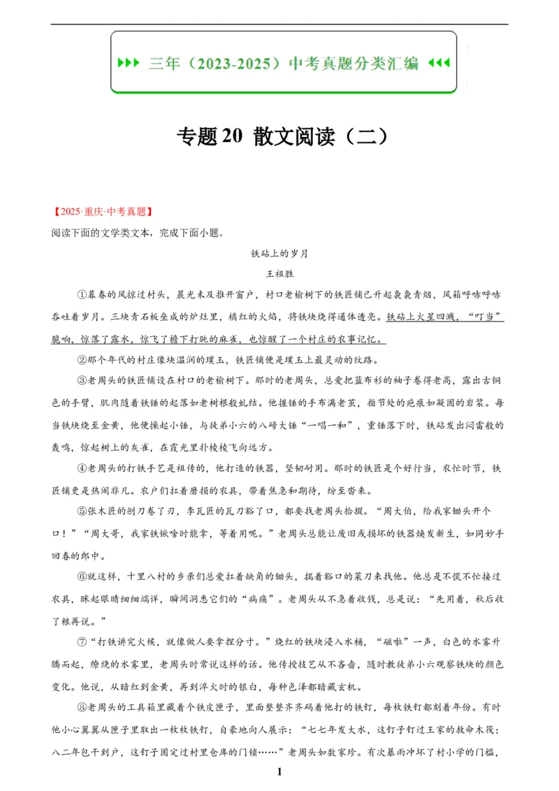 专题20散文阅读(二)(原卷版)_2023-2025《3年中考1年模拟》真题分类汇编（语文、数学）(1)_2023-2025《3年中考1年模拟真题分类汇编》语文