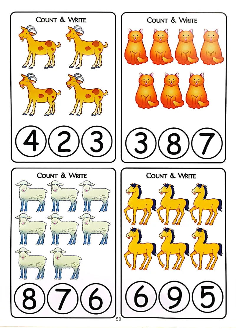 我的第一本专注力训练大书41-80_幼小语数英专项资料_幼小数学专项