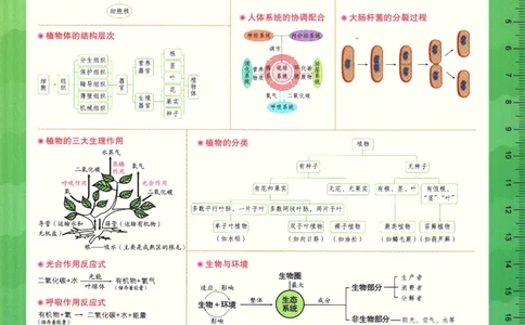 2026版53初中知识清单-生物