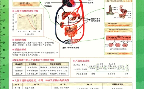 2026版53初中知识清单-生物
