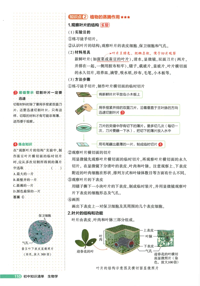 2026版53初中知识清单-生物