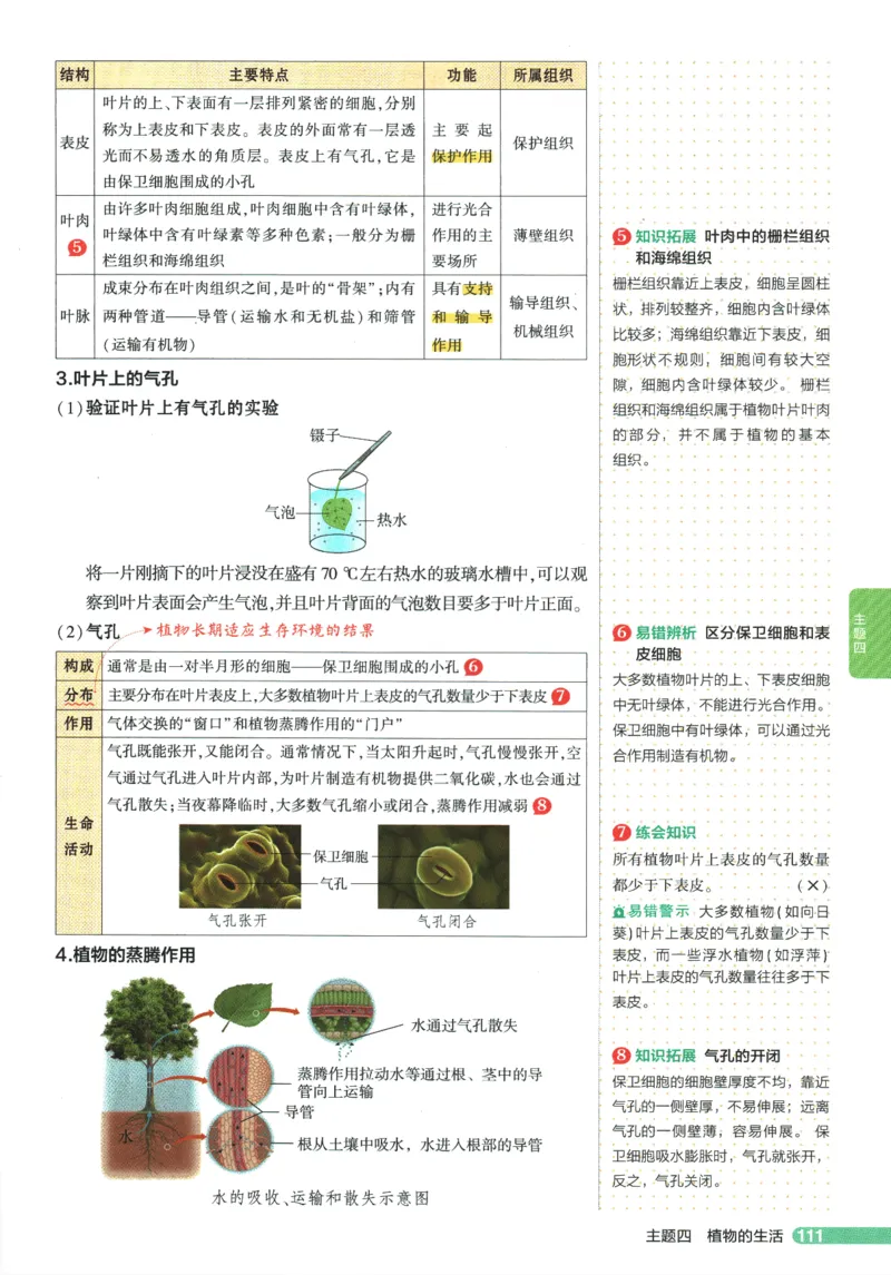 2026版53初中知识清单-生物