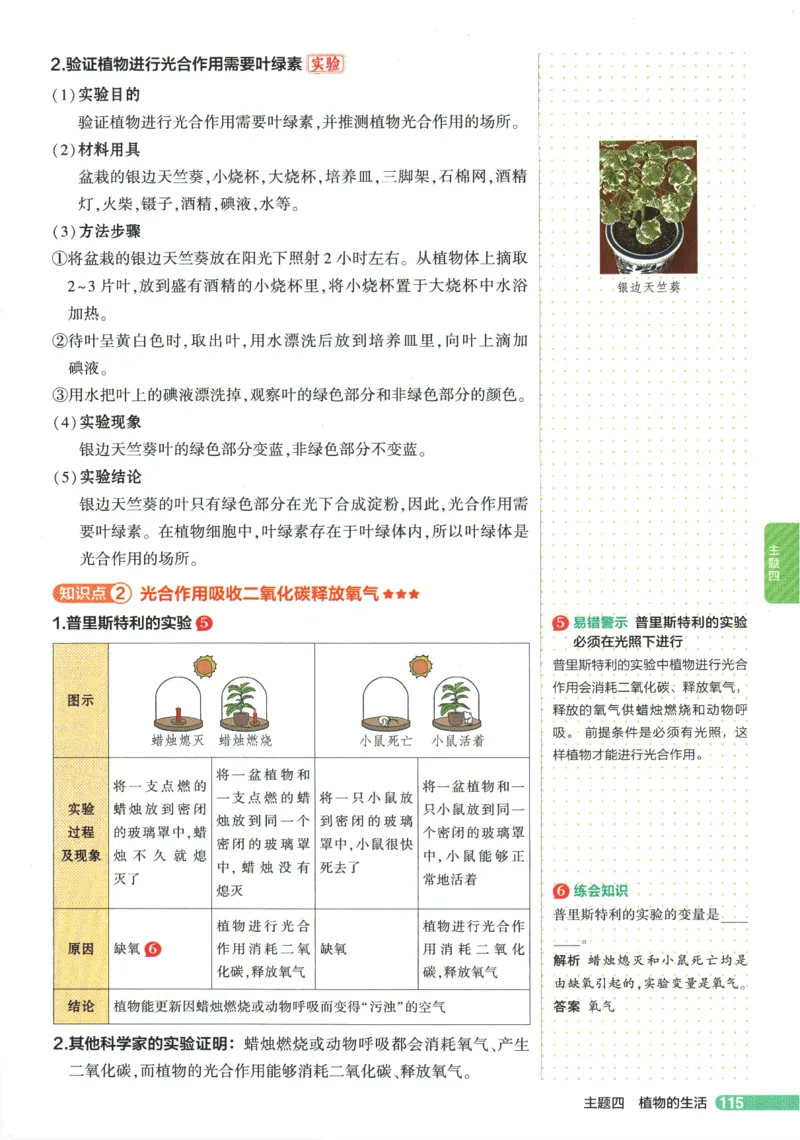 2026版53初中知识清单-生物