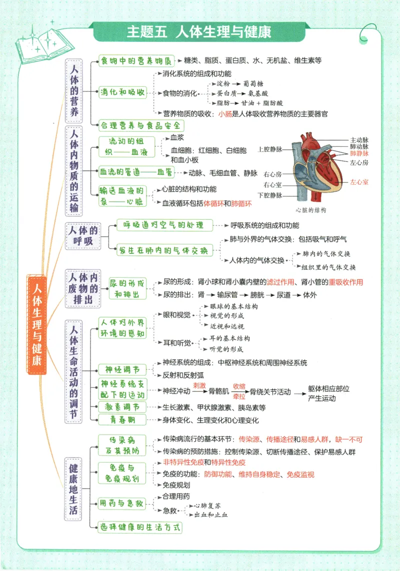 2026版53初中知识清单-生物