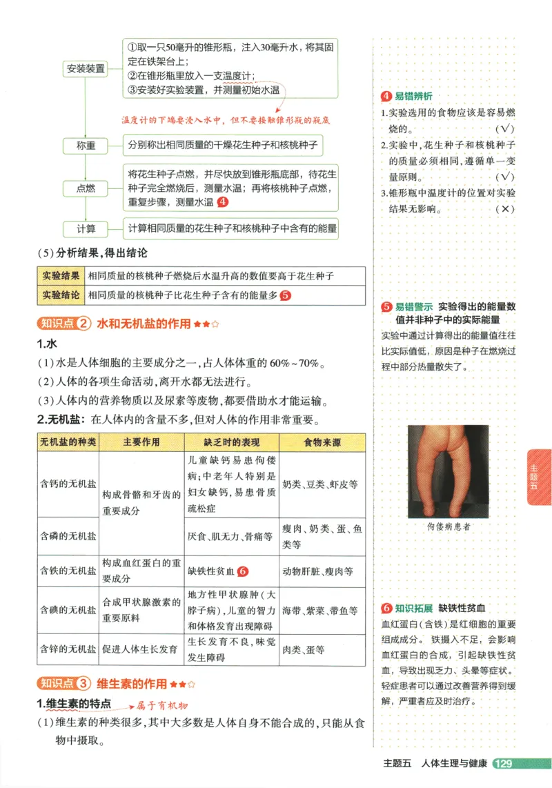 2026版53初中知识清单-生物
