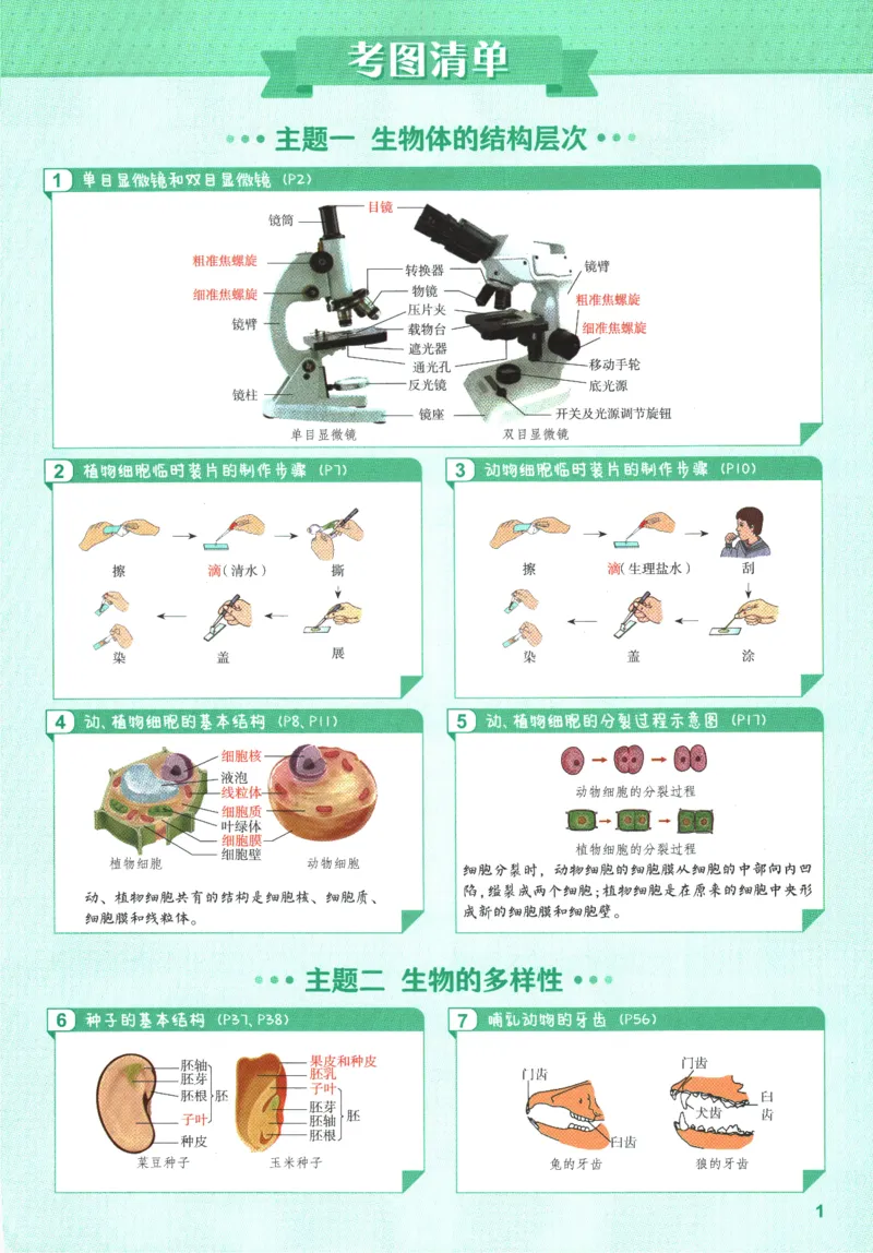 2026版53初中知识清单-生物