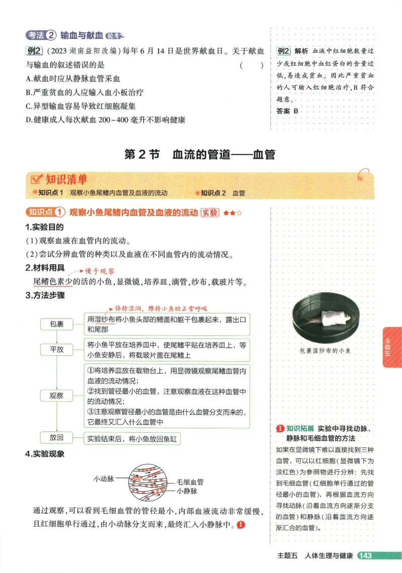 2026版53初中知识清单-生物