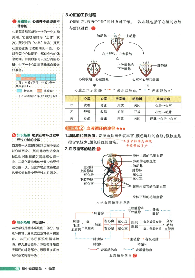 2026版53初中知识清单-生物