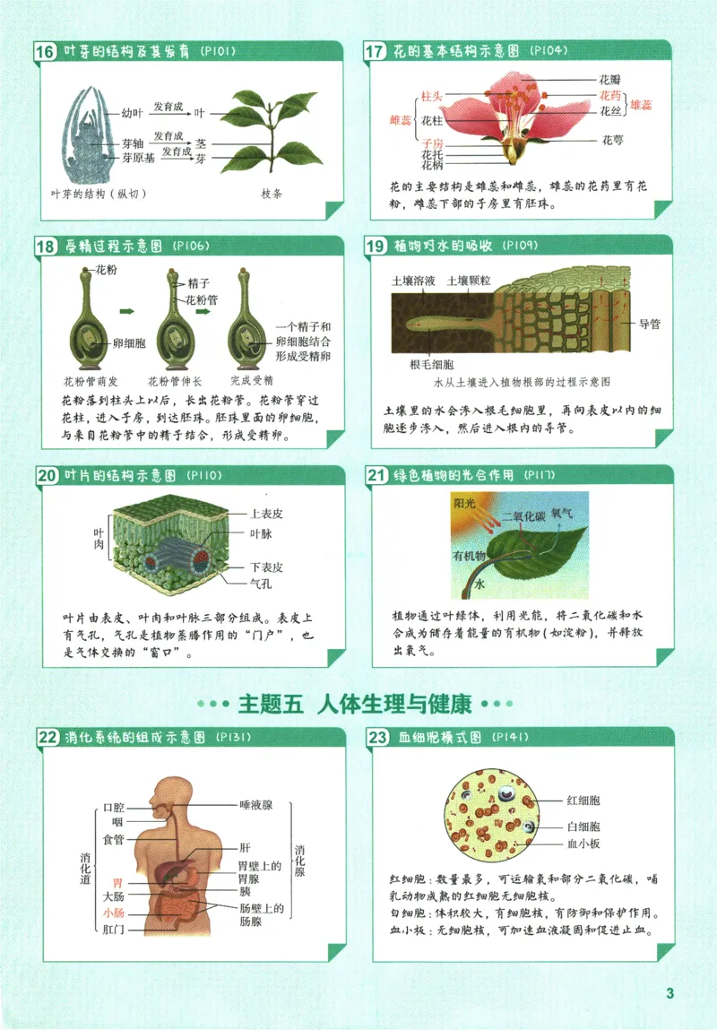 2026版53初中知识清单-生物
