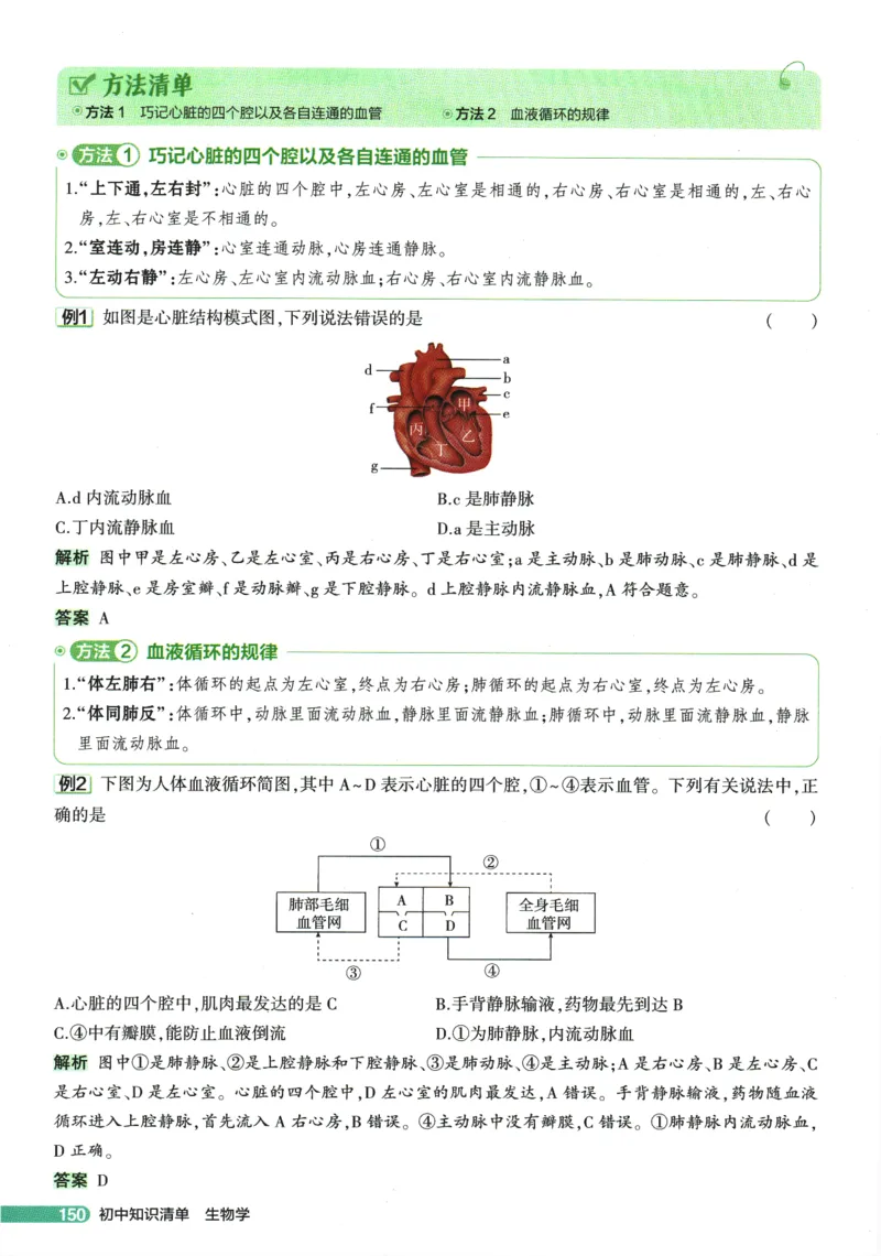 2026版53初中知识清单-生物