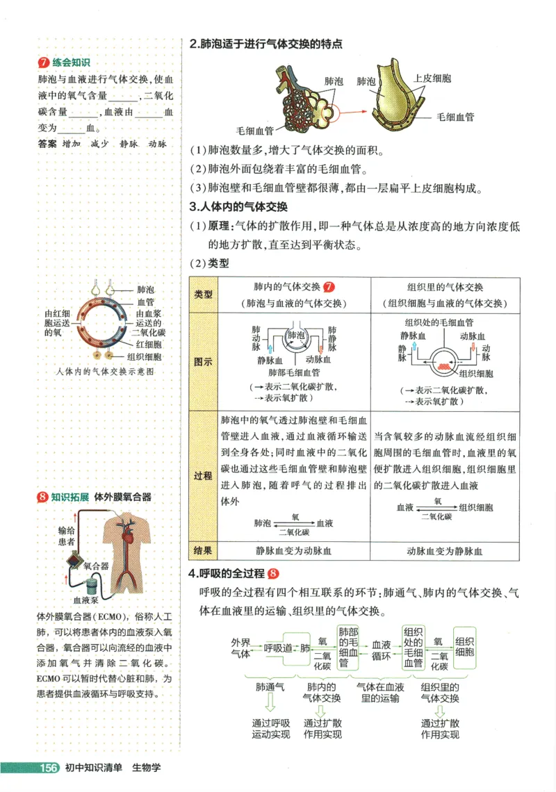 2026版53初中知识清单-生物
