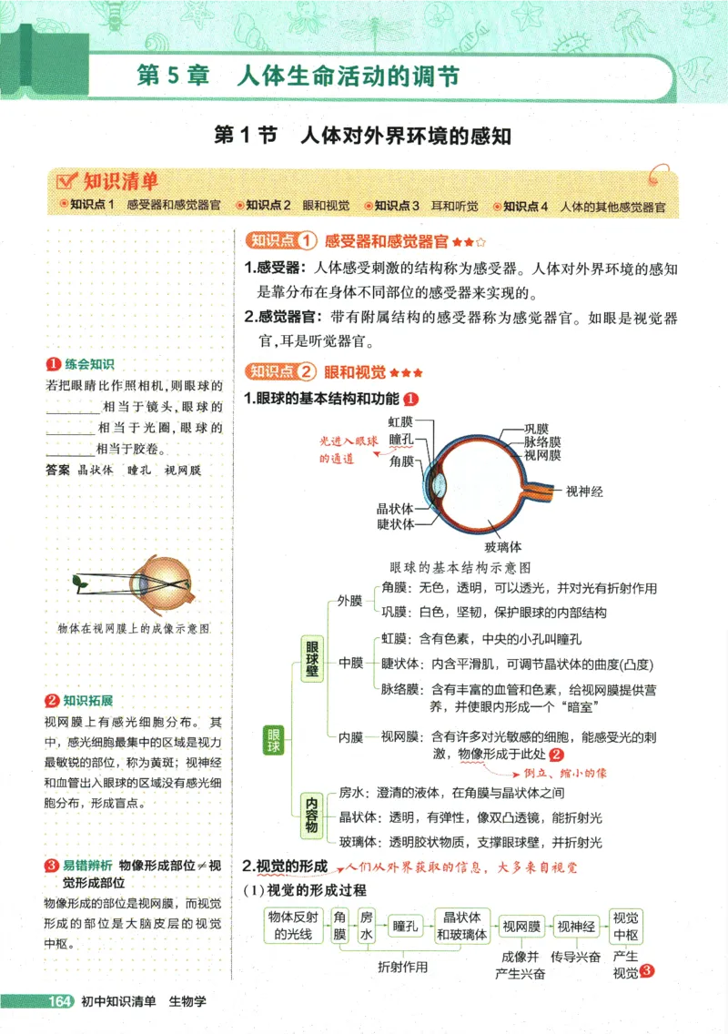 2026版53初中知识清单-生物