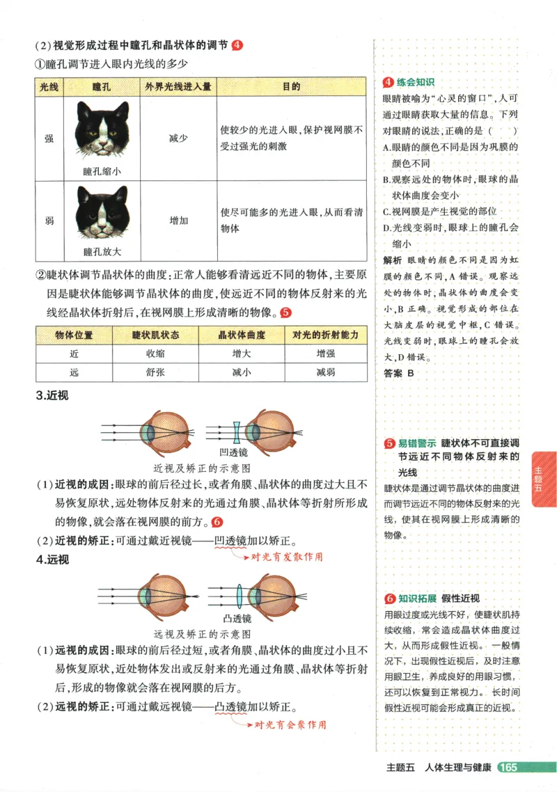 2026版53初中知识清单-生物