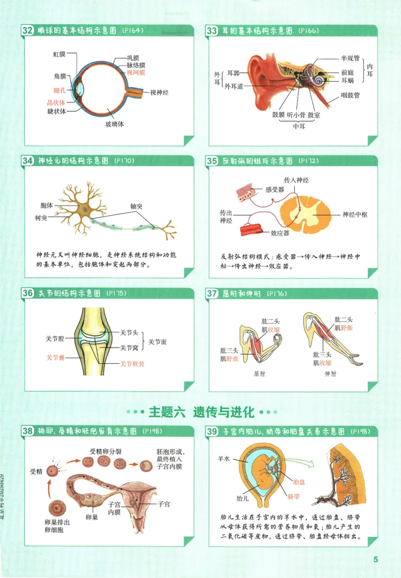2026版53初中知识清单-生物