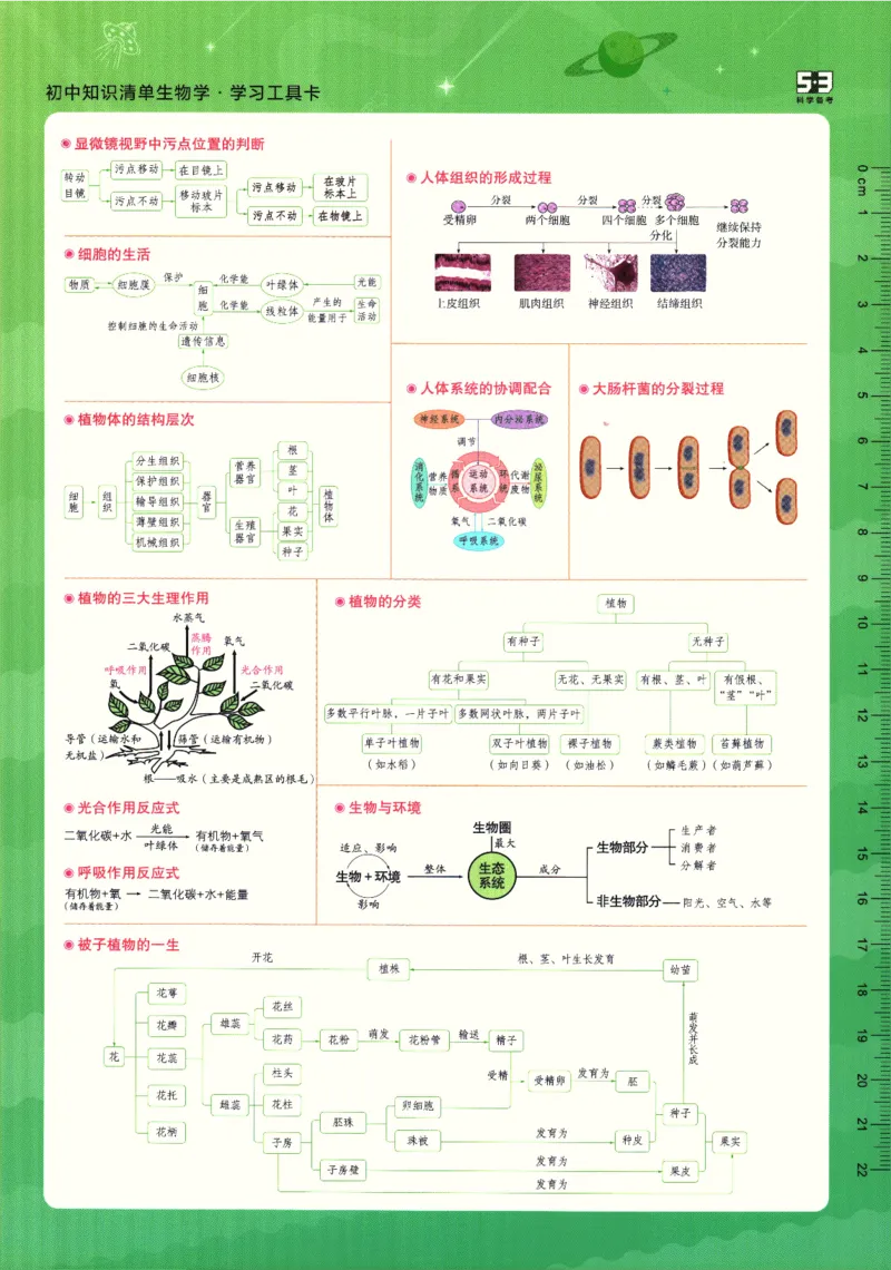 2026版53初中知识清单-生物