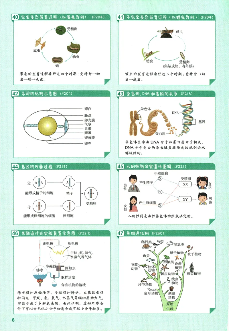 2026版53初中知识清单-生物