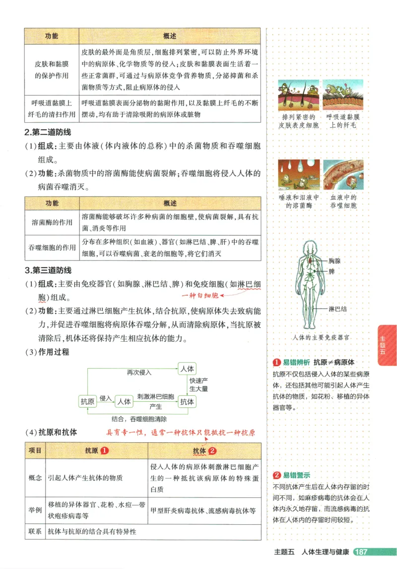2026版53初中知识清单-生物