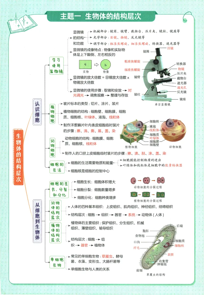 2026版53初中知识清单-生物