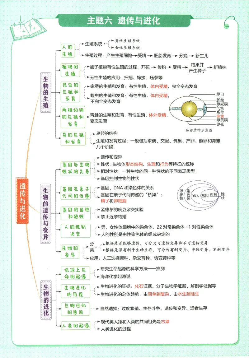 2026版53初中知识清单-生物