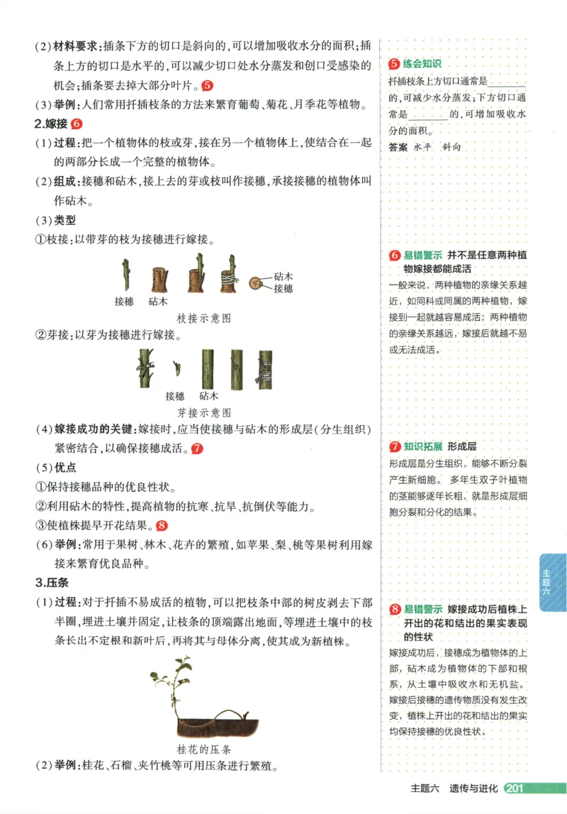 2026版53初中知识清单-生物