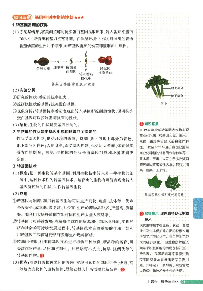 2026版53初中知识清单-生物