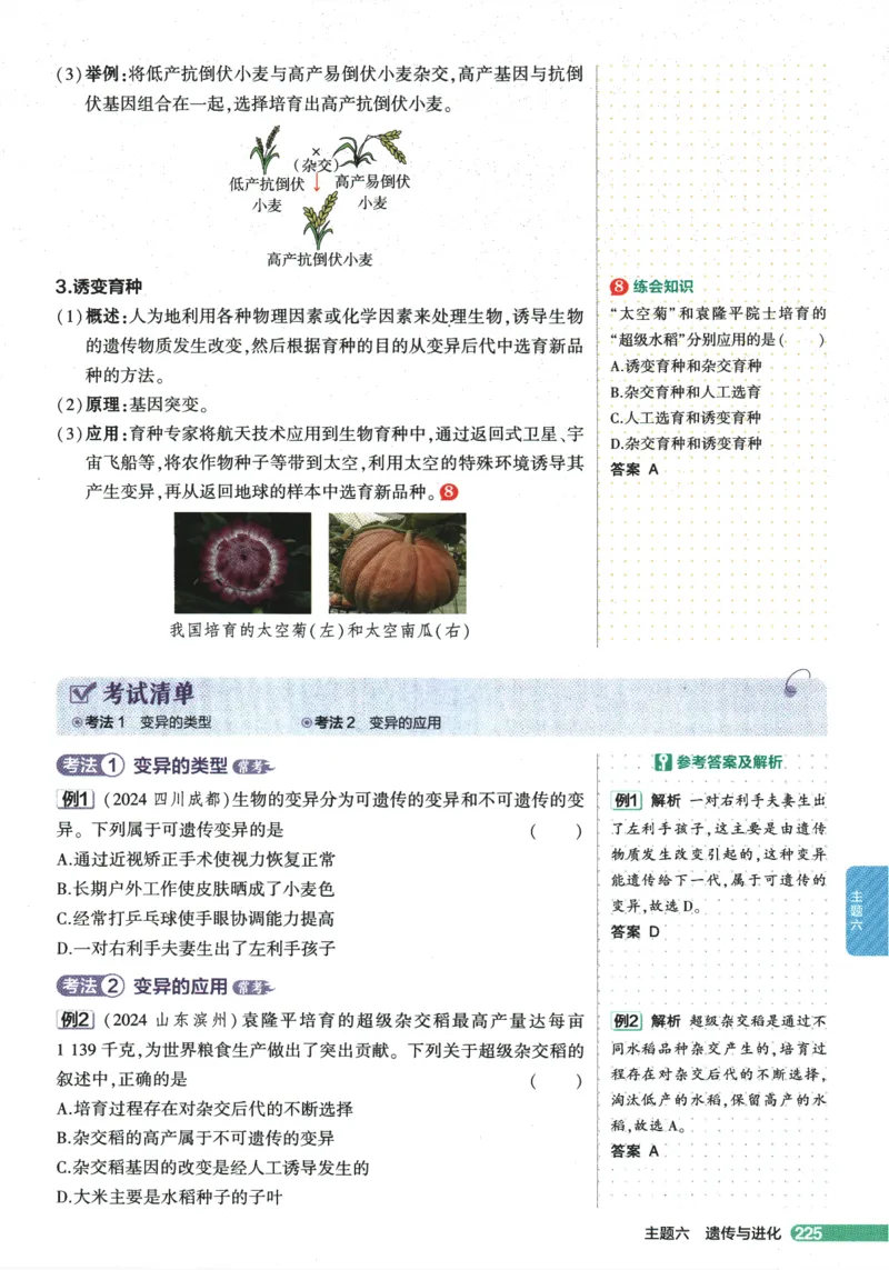 2026版53初中知识清单-生物
