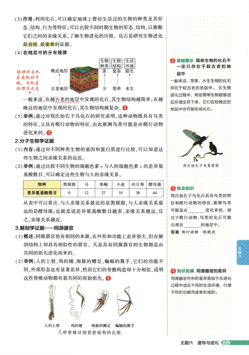 2026版53初中知识清单-生物