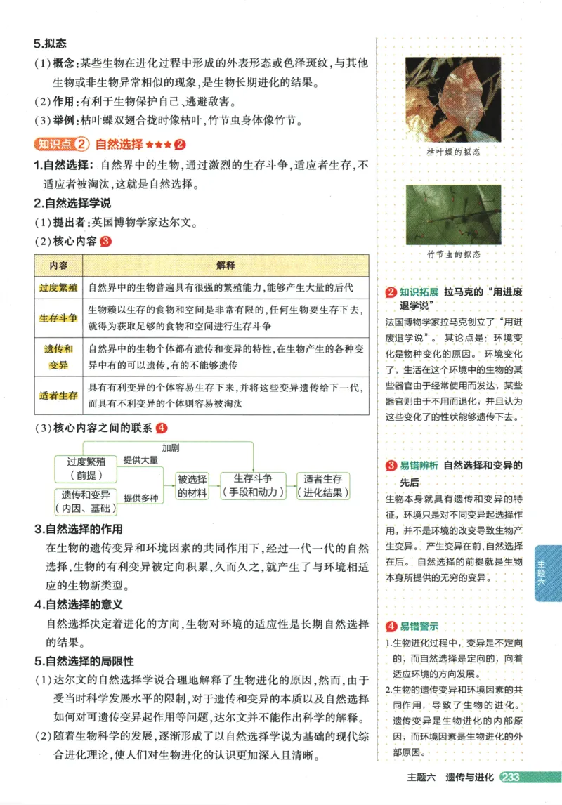 2026版53初中知识清单-生物