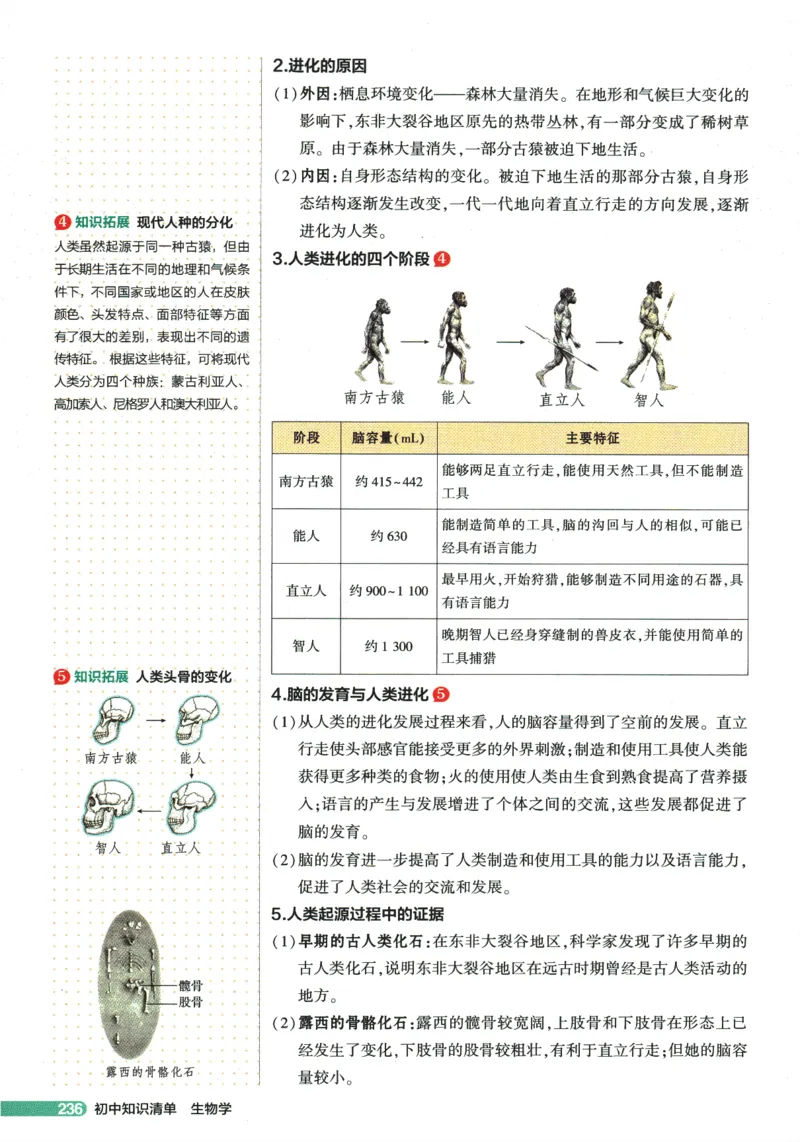 2026版53初中知识清单-生物