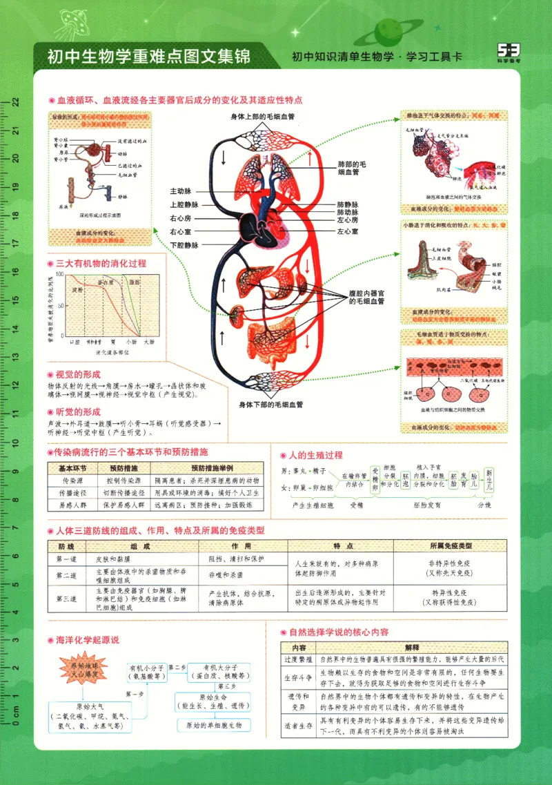 2026版53初中知识清单-生物