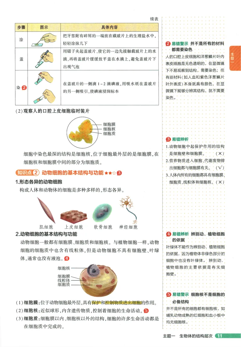 2026版53初中知识清单-生物