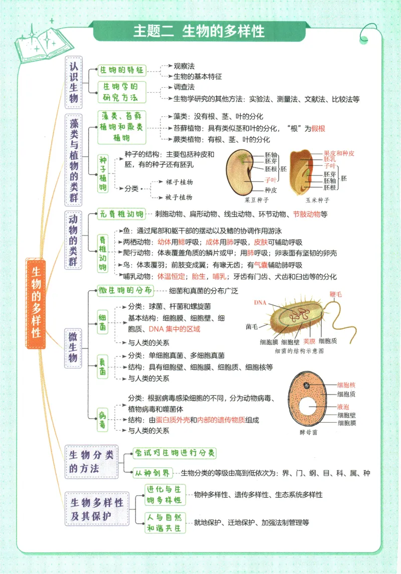 2026版53初中知识清单-生物