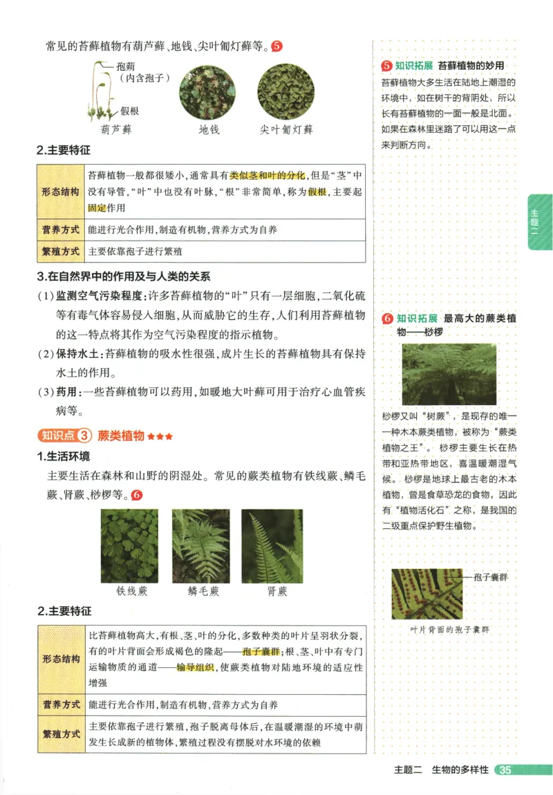 2026版53初中知识清单-生物