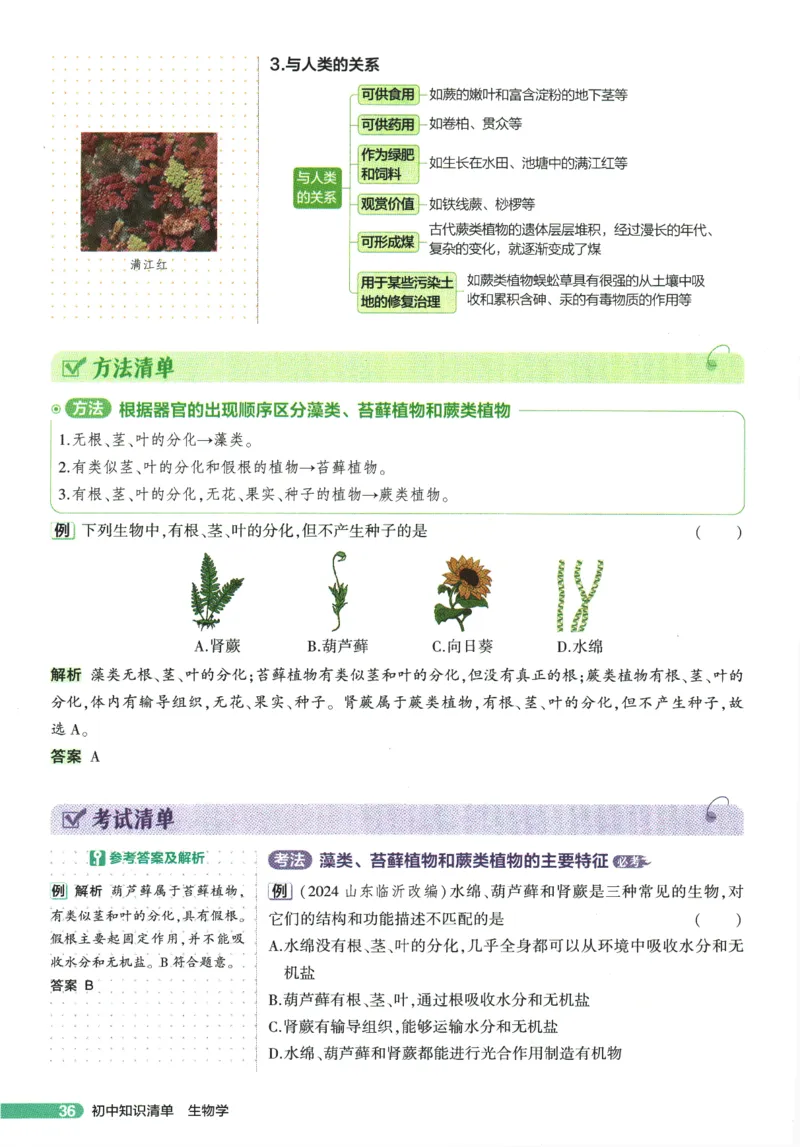 2026版53初中知识清单-生物