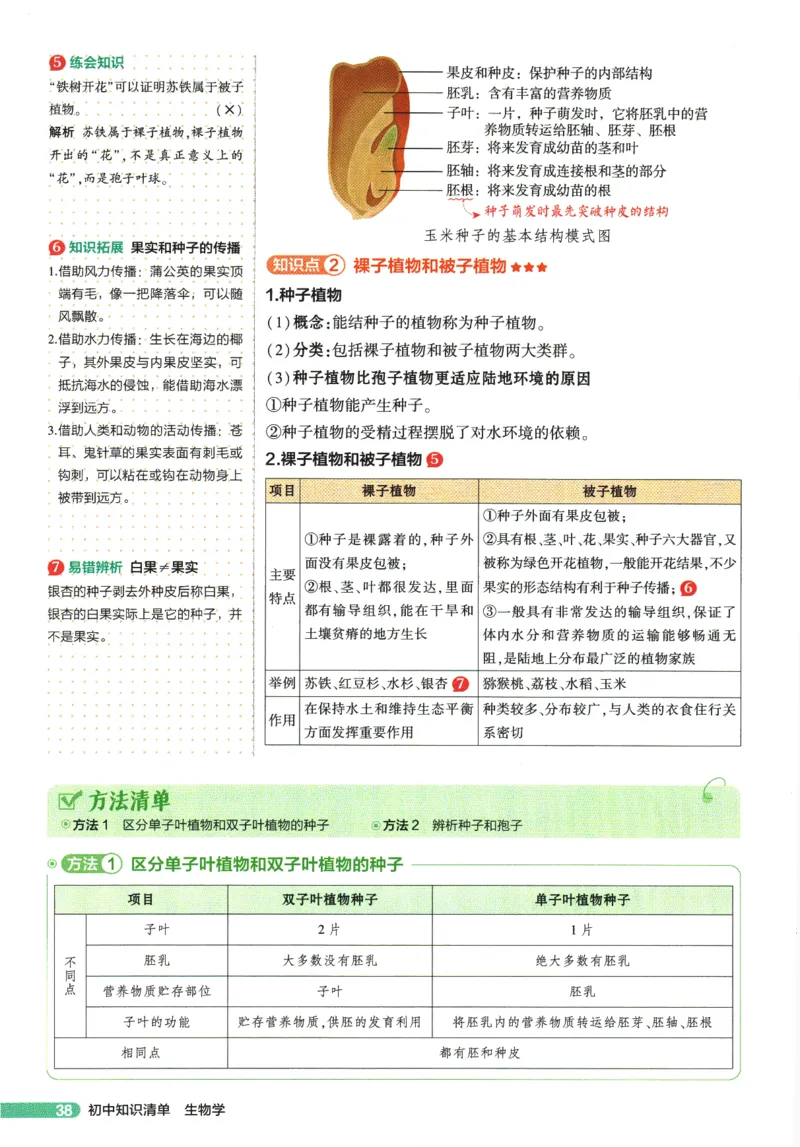 2026版53初中知识清单-生物