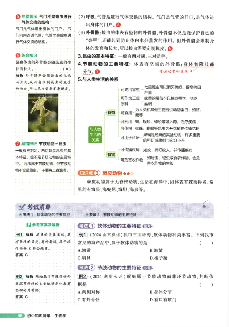 2026版53初中知识清单-生物