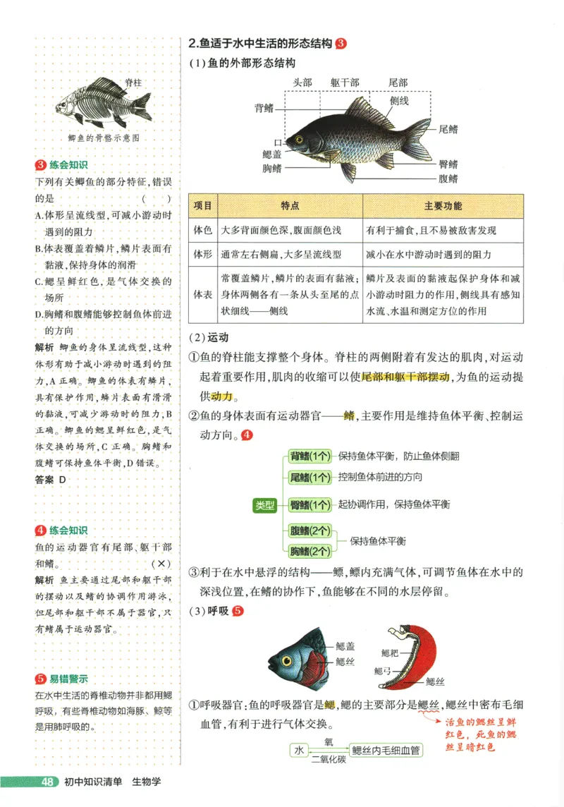 2026版53初中知识清单-生物