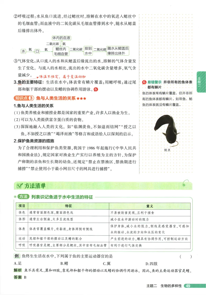 2026版53初中知识清单-生物
