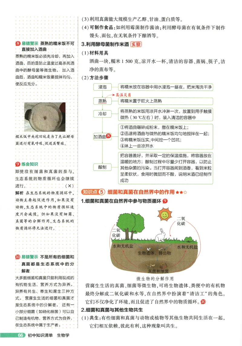 2026版53初中知识清单-生物