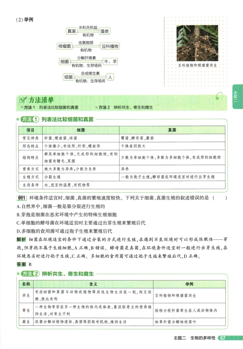 2026版53初中知识清单-生物