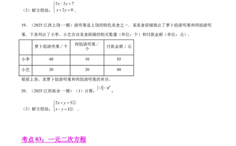 专题03方程与不等式(五大考点60题)(原卷版)_2023-2025《3年中考1年模拟真题分类汇编》数学