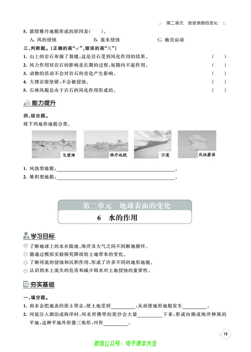 科学5a_2024年人教版小学数学一二三四五六年级上册下册期中期末试a0747_小学全科《同步练习+精品试卷》打包下载（1-6年级单元月考期中期末试卷）_小学科学