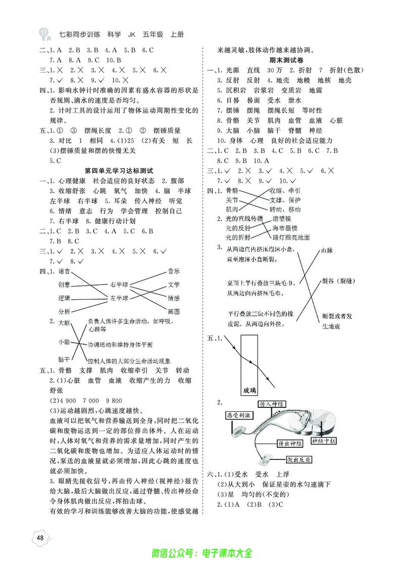 科学5a_2024年人教版小学数学一二三四五六年级上册下册期中期末试a0747_小学全科《同步练习+精品试卷》打包下载（1-6年级单元月考期中期末试卷）_小学科学