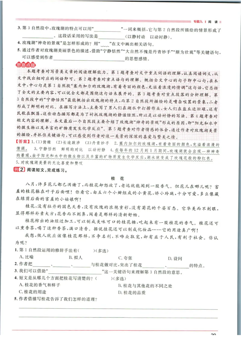 阳光同学考点大全语文_2024年人教版小学数学一二三四五六年级上册下册期中期末试a0747_小学全科《同步练习+精品试卷》打包下载（1-6年级单元月考期中期末试卷）_小升初中总复习