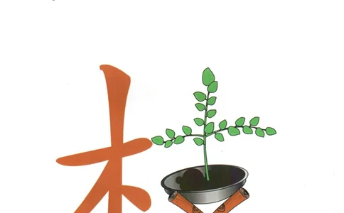 识字看图识字记忆闪卡-第三集_幼小语数英专项资料_幼小语文专项