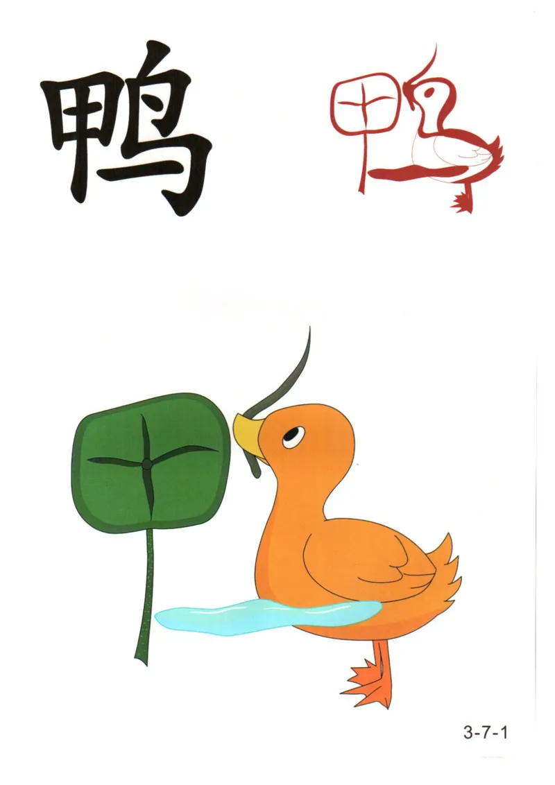 识字看图识字记忆闪卡-第三集_幼小语数英专项资料_幼小语文专项