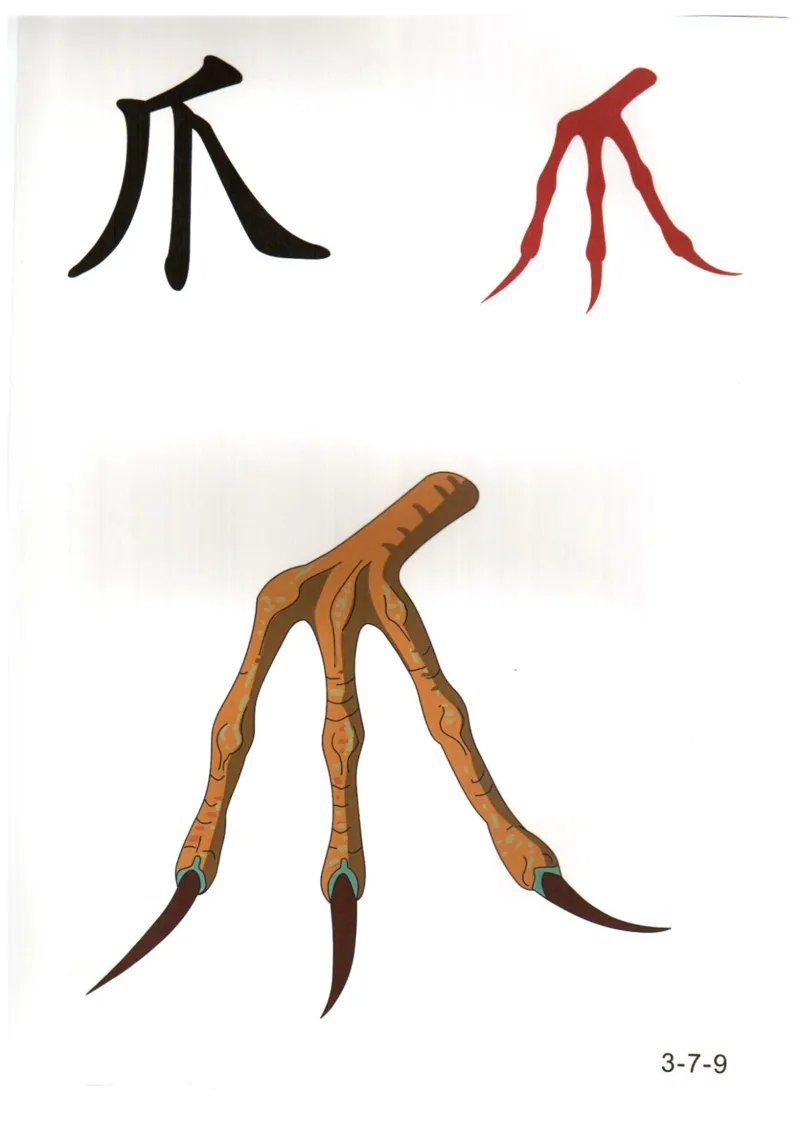 识字看图识字记忆闪卡-第三集_幼小语数英专项资料_幼小语文专项